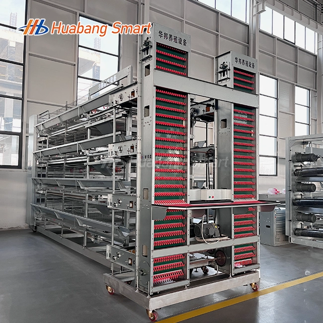 Chicken Egg Layer Cage